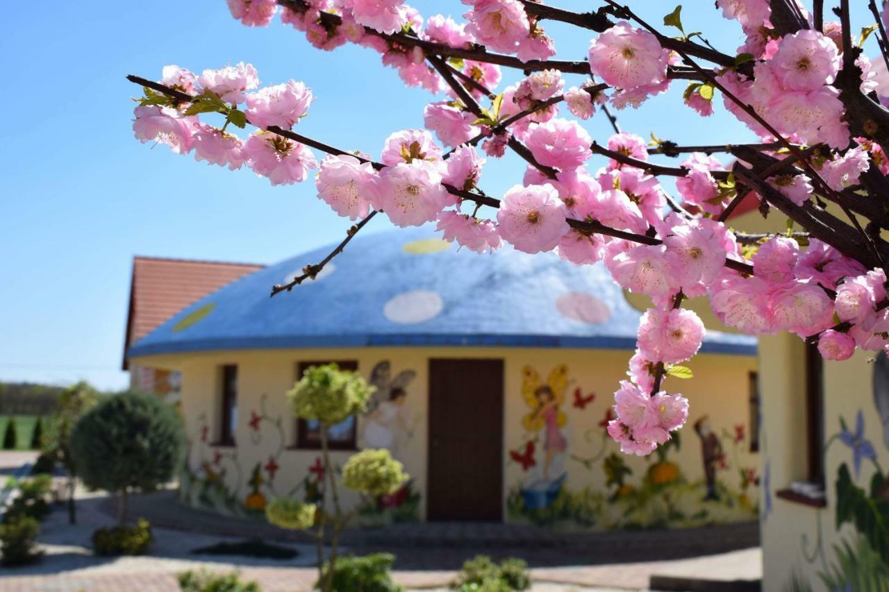 فندق Demjeni Piramis Furdo Es Udulopark المظهر الخارجي الصورة